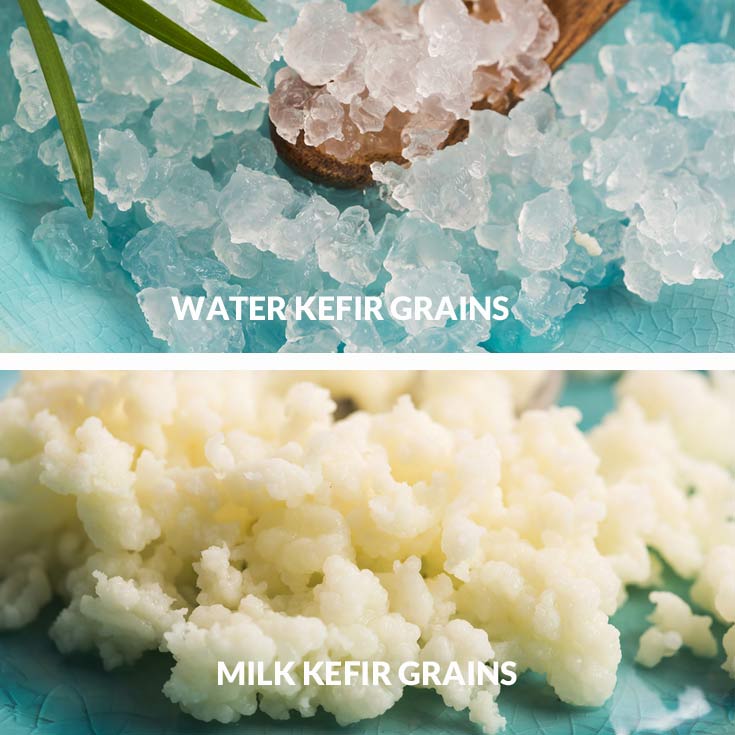 How To Make Kefir At Home Food Compass