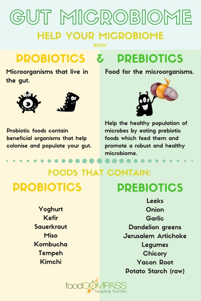 difference-between-prebiotics-and-probiotics-683x1024