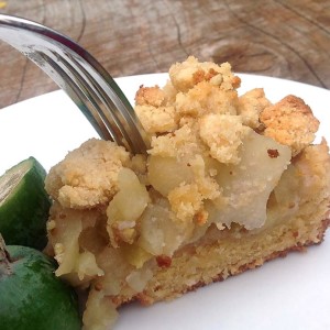 feijoa-and-apple-crumble-recipe-nz